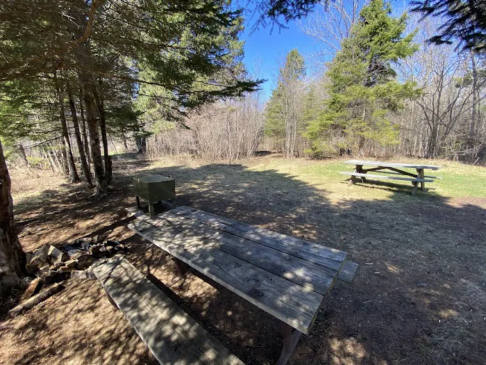 Lost Lake Campsite Picture 6