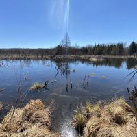 Lost Lake Campsite ico