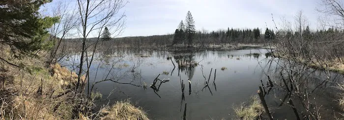 Lost Lake Campsite Picture 3
