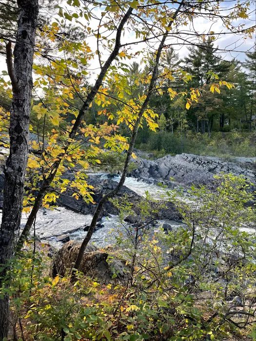 Campground Jay Cooke State Park Picture 7