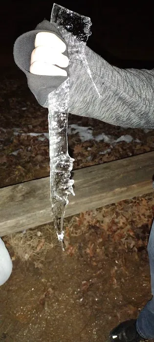 Fort Union Campsite Picture 6