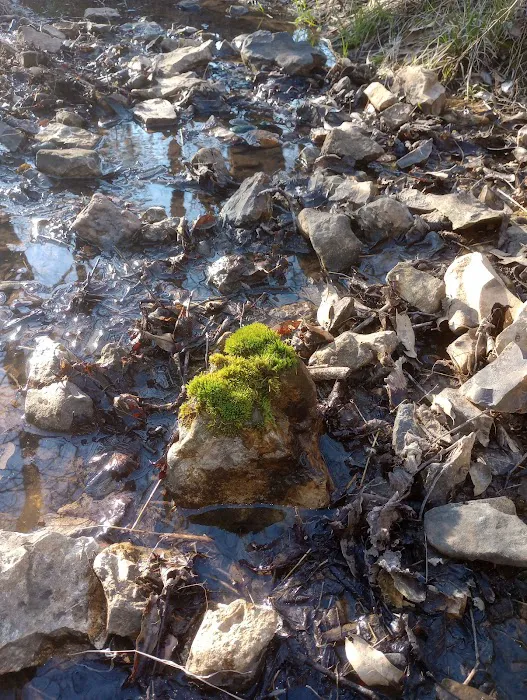 Windsor Woods Campground Picture 4