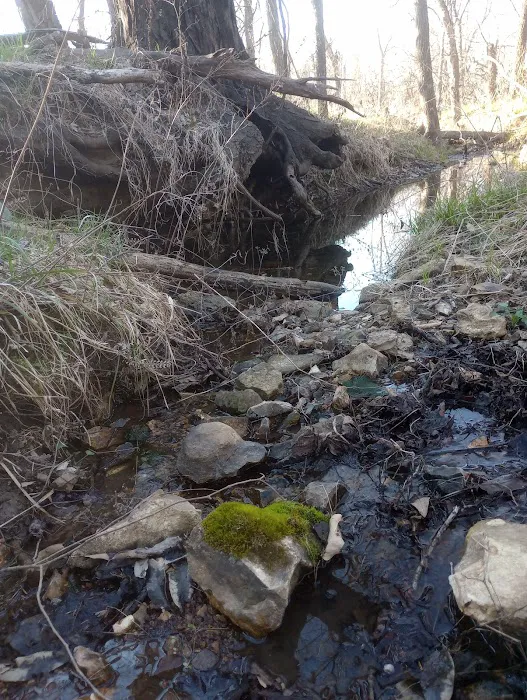 Windsor Woods Campground Picture 2