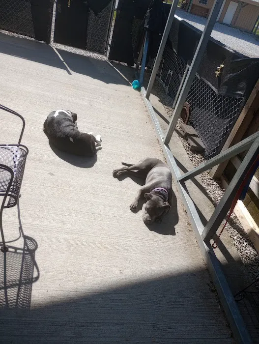 Windsor Woods Campground Picture 1