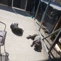 Windsor Woods Campground ico