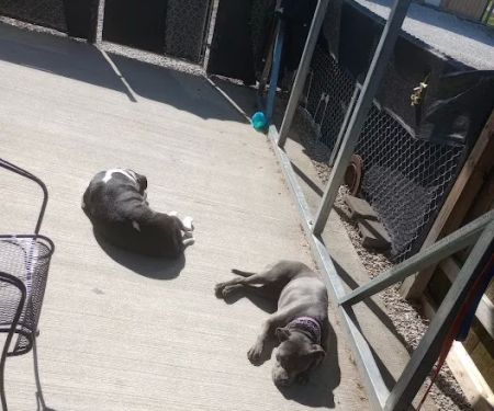 Windsor Woods Campground