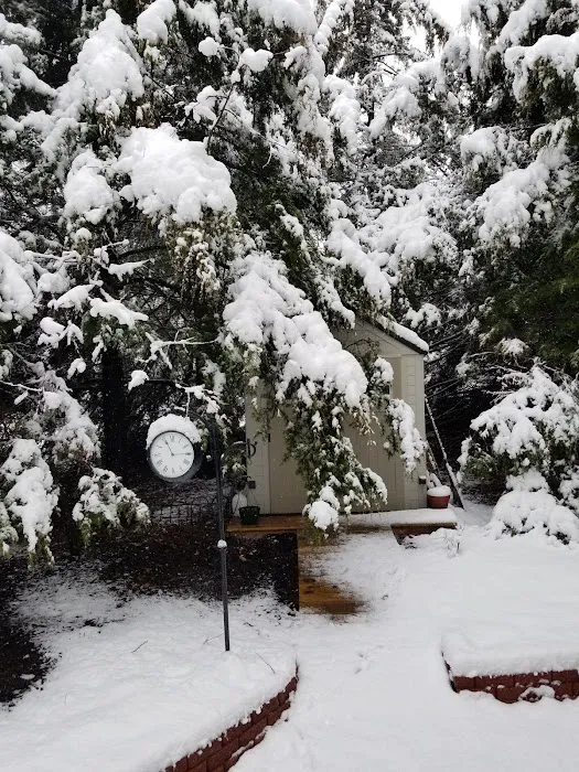 Shady Grove RV Park & Campground Picture 3