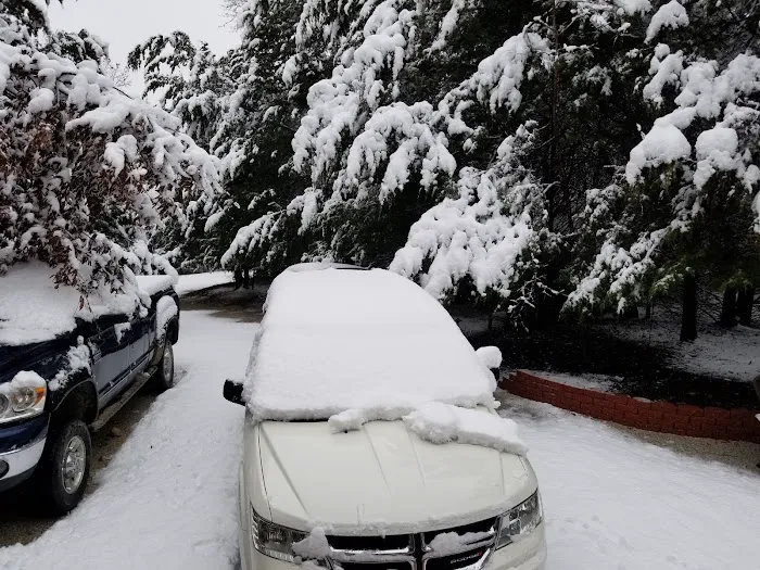 Shady Grove RV Park & Campground Picture 8