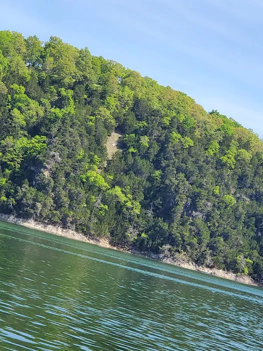 Aunt's Creek Store & RV Park Picture 8