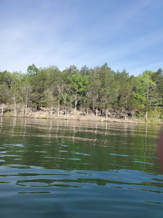 Aunt's Creek Store & RV Park Picture 5