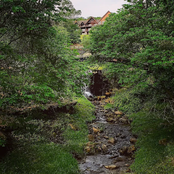 Aunt's Creek Store & RV Park Picture 7