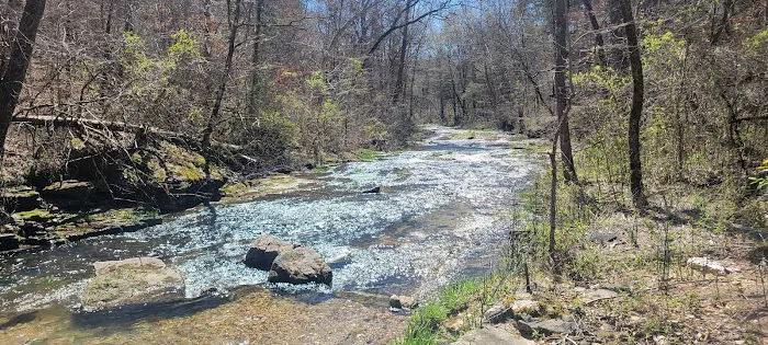 Mt. Hersey Campground Picture 2