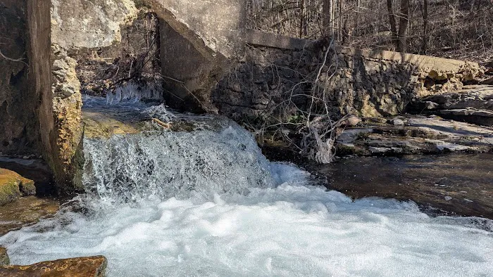 Mt. Hersey Campground Picture 3