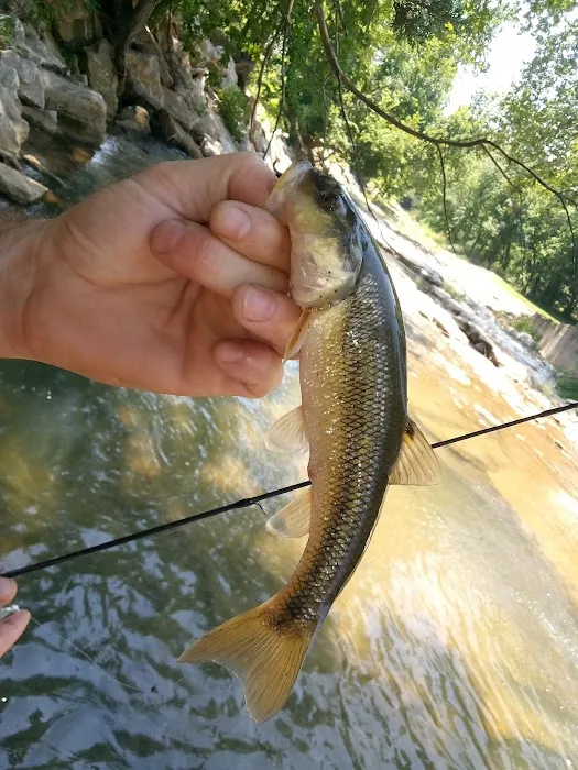 Mill Creek Camp Picture 9