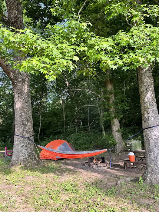 Ozark Campground Picture 5