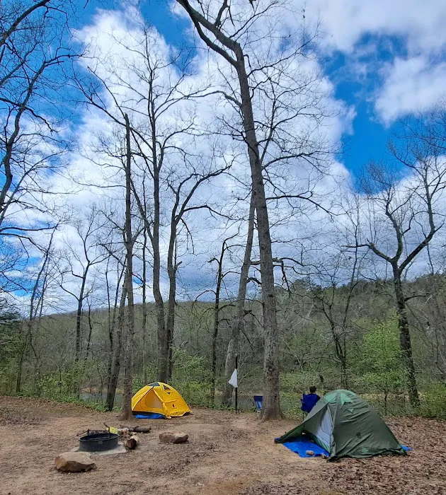 Ozark Campground Picture 9