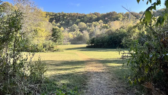 Erbie Campground Picture 5