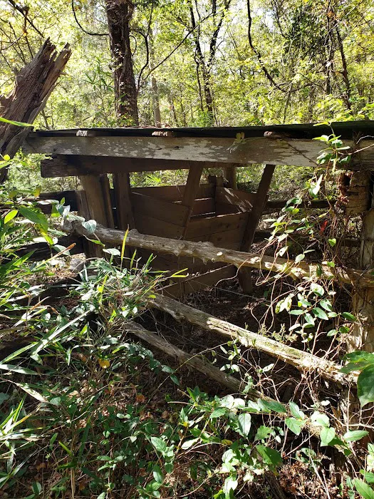 Erbie Campground Picture 7