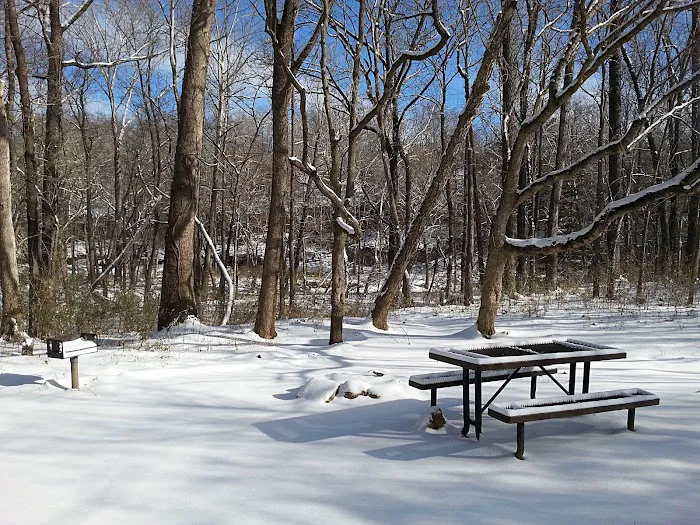 Erbie Campground Picture 10