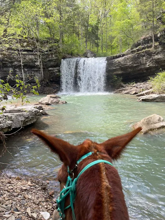 Falling Water Horse Camp Picture 2