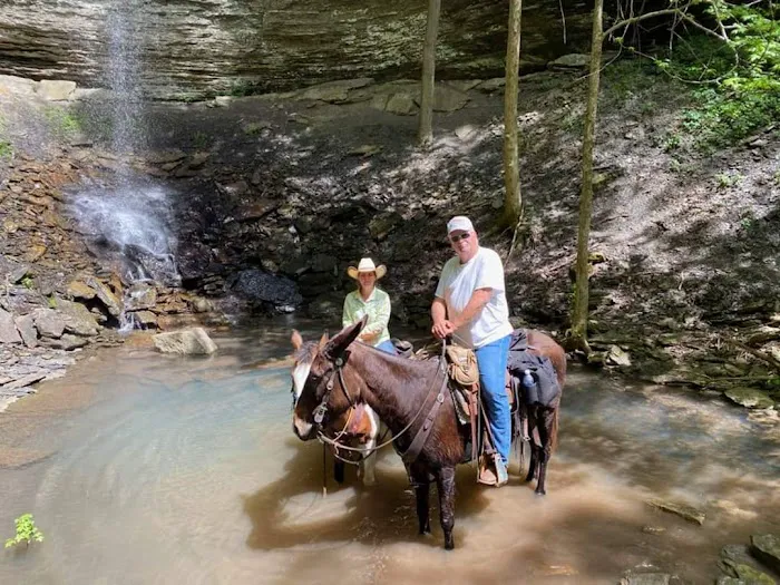 Falling Water Horse Camp Picture 7