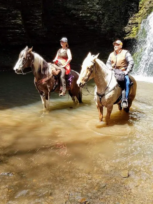 Falling Water Horse Camp Picture 8