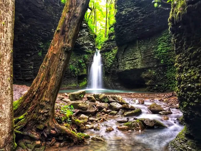 Falling Water Horse Camp Picture 4