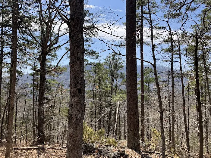 Richland Creek Recreation Area Picture 8