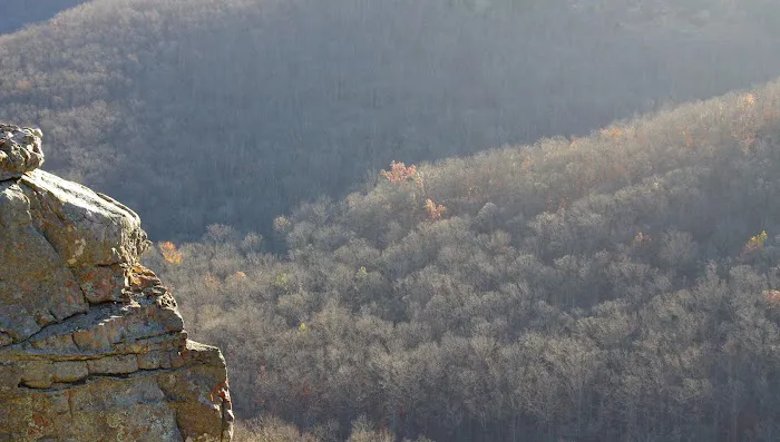 Richland Creek Recreation Area Picture 7