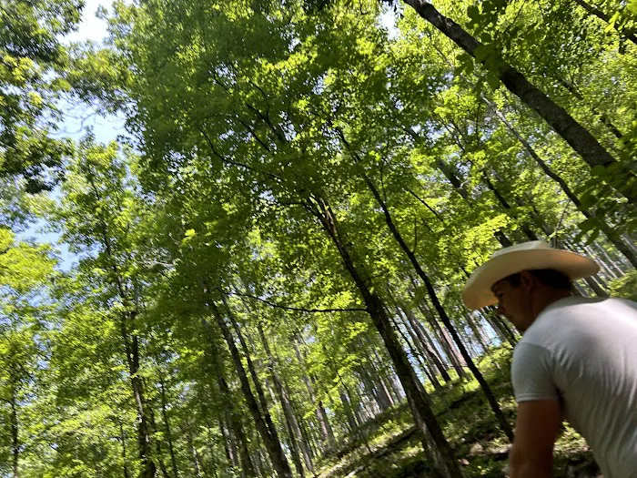 Cowboy Up Trails Picture 3