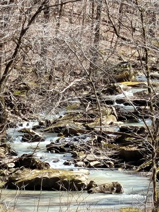 Cowboy Up Trails Picture 6