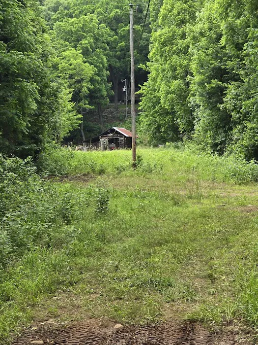 Cowboy Up Trails Picture 5