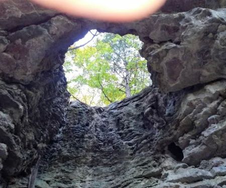 The Wildlife Campground