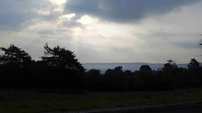 The Wildlife Campground Picture 6