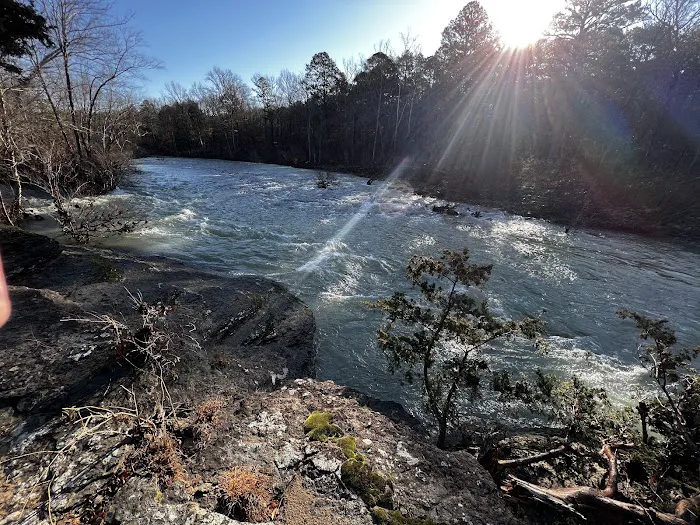 Bayou Bluff Recreation Area Picture 3