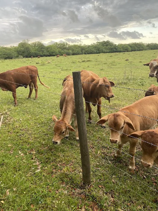 Clewiston RV Resort Picture 8