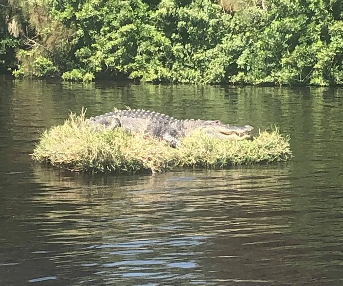 The Glades RV Resort, Golf and Marina Picture 9