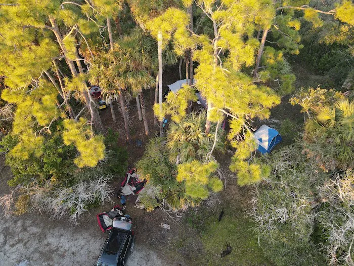 Wild Cow Primative Group Camp Picture 7