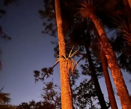 Wild Cow Primative Group Camp