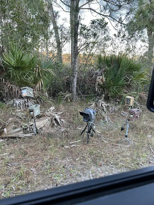 Wild Cow Primative Group Camp Picture 4