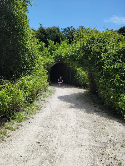 Seminole Campground Picture 3