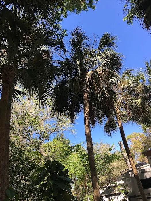 Seminole Campground Picture 10