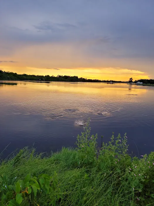 W.P. Franklin North Campground Picture 5