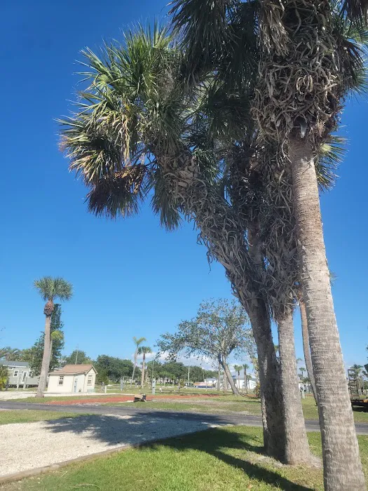 Southern Breeze Picture 2