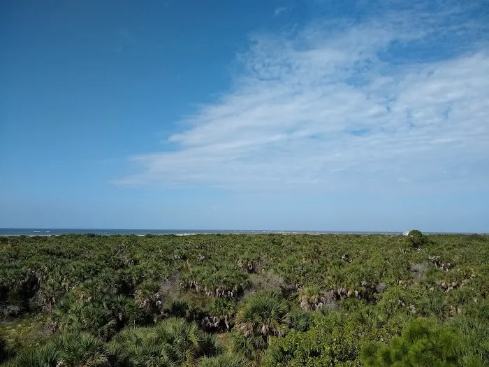 Cayo Costa Beach Picture 10