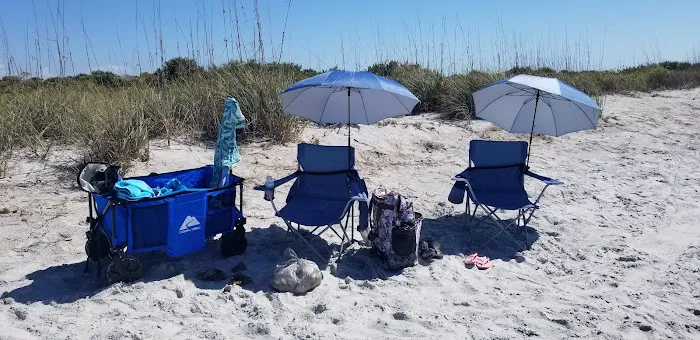 Cayo Costa Beach Picture 6