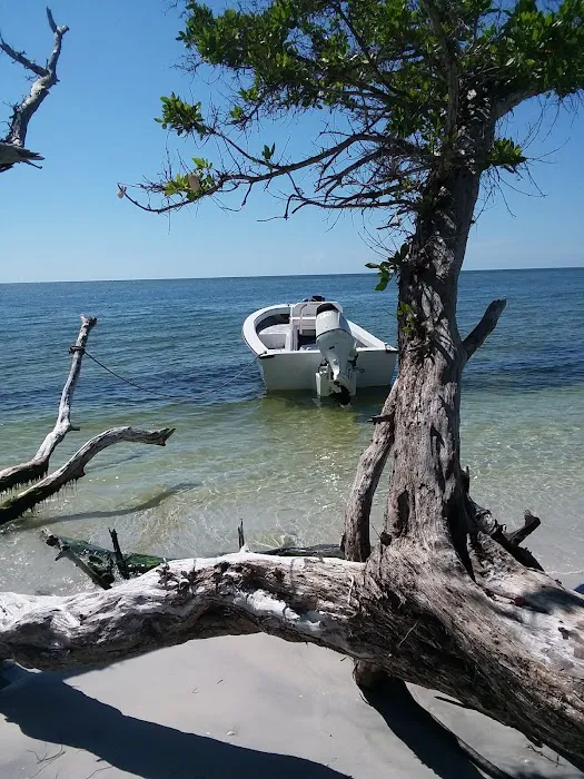 Cayo Costa Beach Picture 4