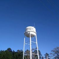 Forestry Department ico