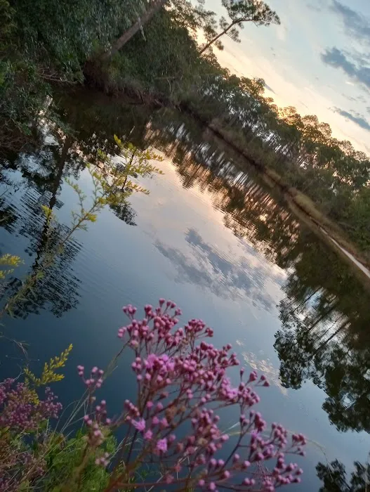 Cozy Rosy RV Resort & Glampground Picture 7