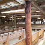 New Prospect Campground